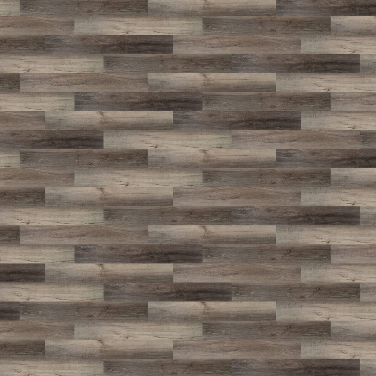 Harbour Oak - Image 2