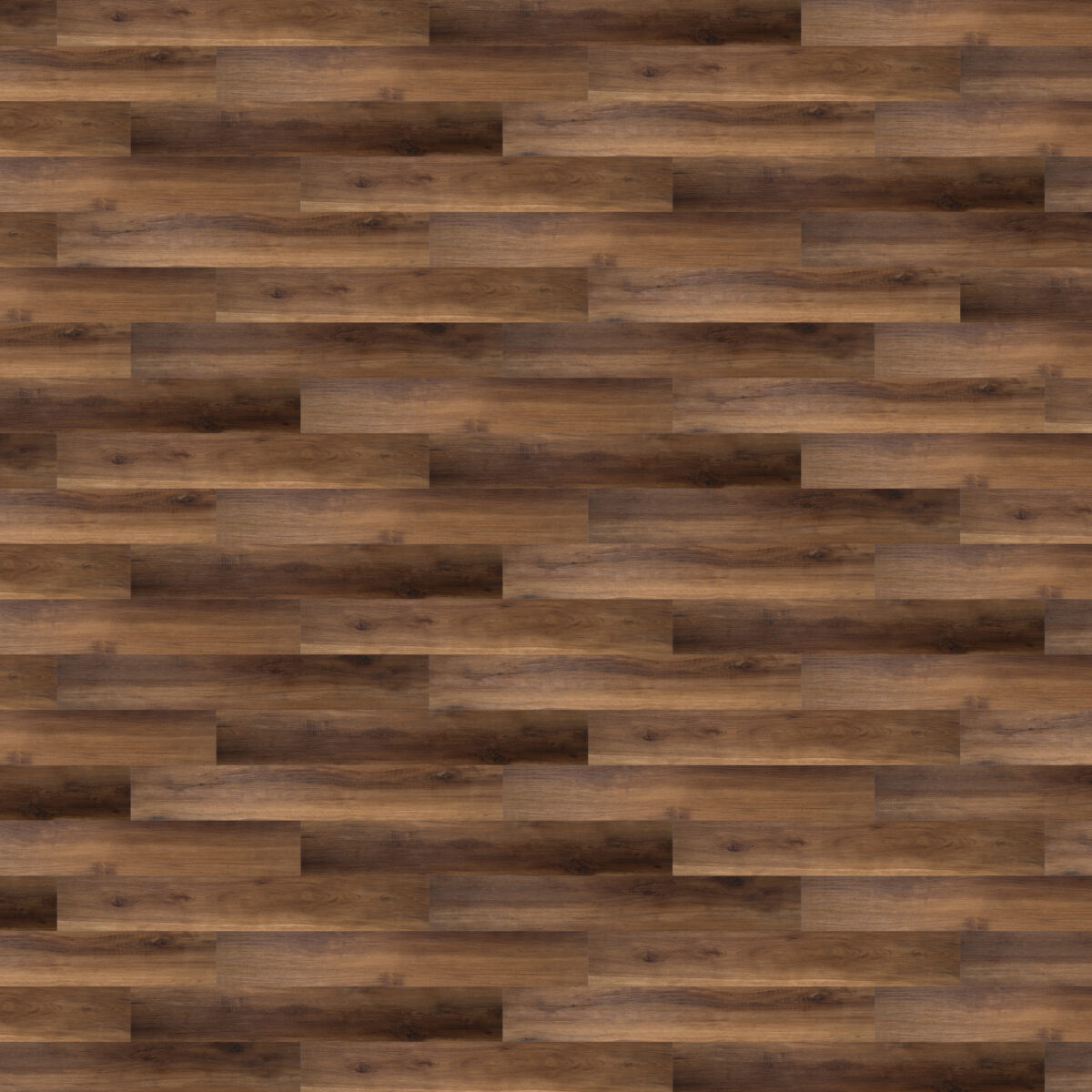 Brazilian Almond - Image 2