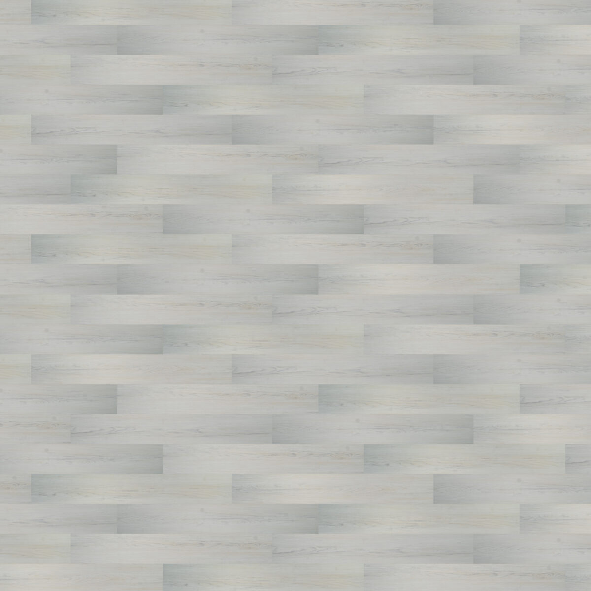 Blonde Oak - Image 2