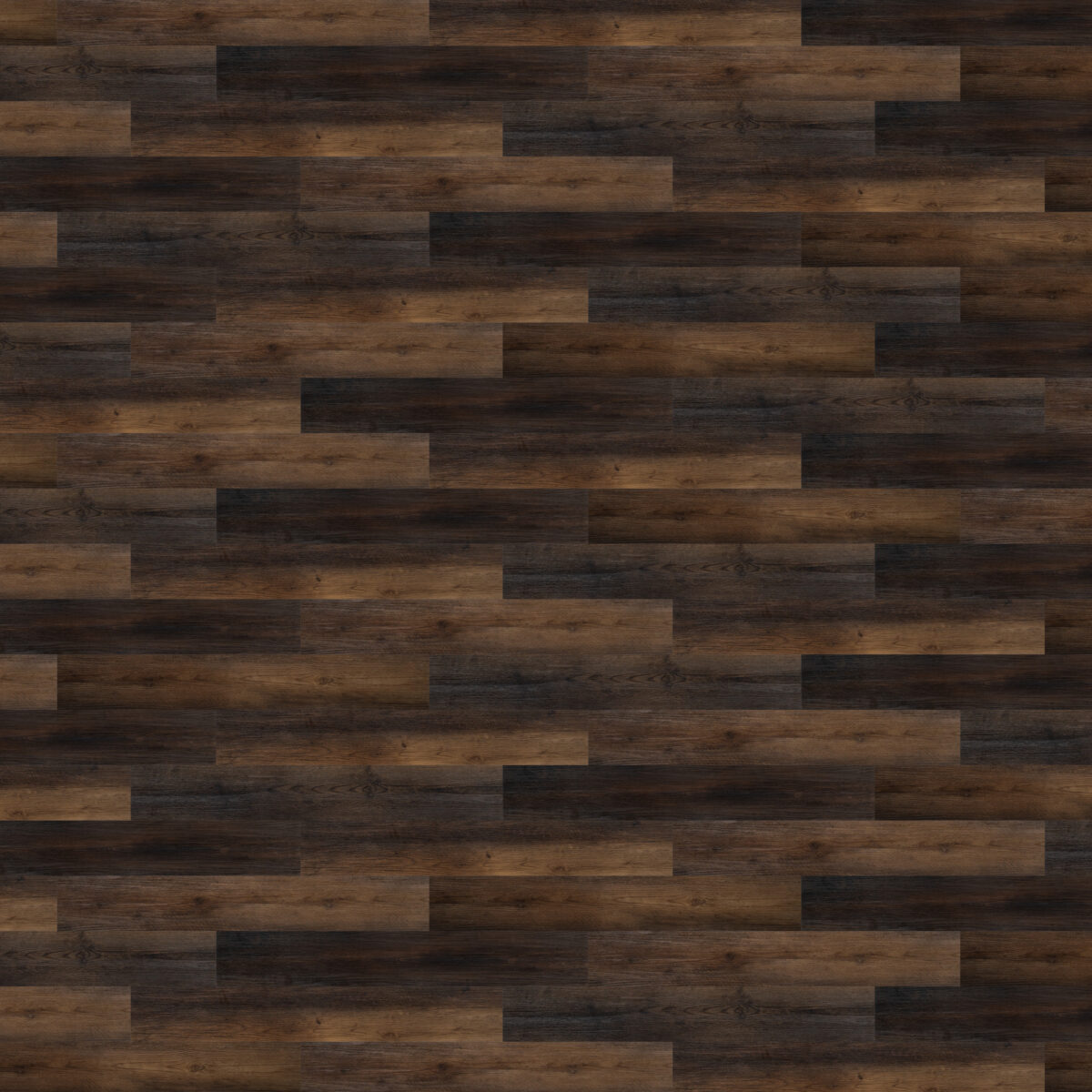 Amber Brown - Image 2